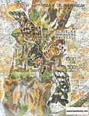 *Známky Madagaskar 1991 Vtáci hárček MNH - Kliknutím na obrázok zatvorte -